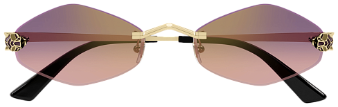 Cartier CT 0433S 004