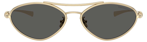 Tiffany & Co TF 3117 6021S4