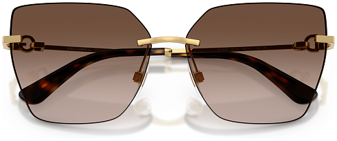 Dolce & Gabbana DG 2321 02/13