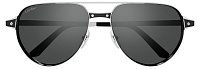 Cartier CT 0425S 004