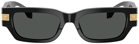 Versace VE 4465 GB1/87