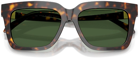 Versace VE 4498 108/71