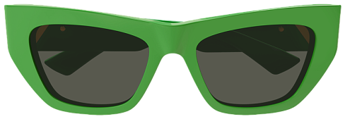 Bottega Veneta BV1177S 003