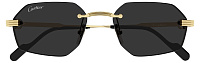 Cartier CT 0616S 001