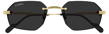 Cartier CT 0616S 001