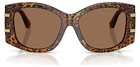 Dolce & Gabbana DG 4501 347073