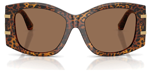 Dolce & Gabbana DG 4501 347073