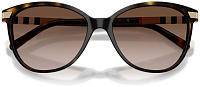 Burberry BE 4216 300213
