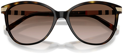 Burberry BE 4216 300213