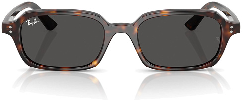 Ray-Ban RB 4455 135987