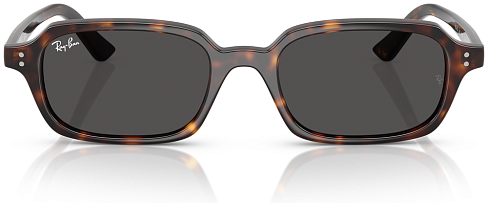 Ray-Ban RB 4455 135987