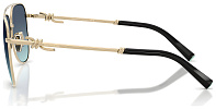 Tiffany & Co TF 3116 62029S