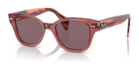 Ray-Ban RB 0880S 6639AF
