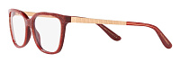 Dolce & Gabbana DG 3317 3219