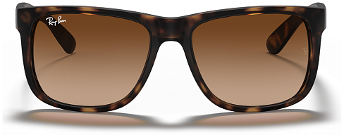 Ray-Ban RB 4165 710/13