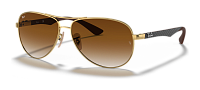 Ray-Ban RB 8313 001/51