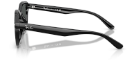 Ray-Ban RB 4458D 601/87
