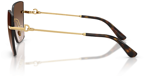 Dolce & Gabbana DG 2321 02/13