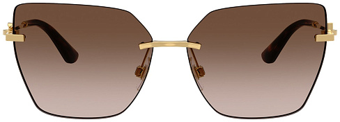 Dolce & Gabbana DG 2321 02/13