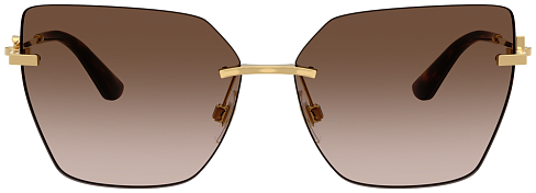 Dolce & Gabbana DG 2321 02/13