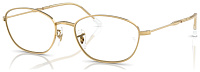 Ray-Ban RX 3749V 2500