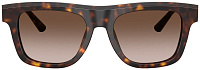 Dolce & Gabbana DG 4521 502/13