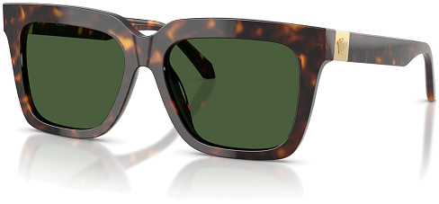 Versace VE 4498 108/71
