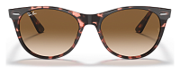 Ray-Ban RB 2185 133451