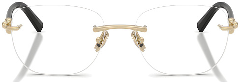 Tiffany & Co TF 1170D 6021