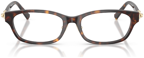 Tiffany & Co TF 2291D 8015