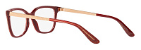 Dolce & Gabbana DG 3317 3219
