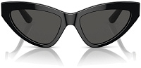 Dolce & Gabbana DG 4439 501/87