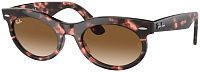 Ray-Ban RB 2242 133451