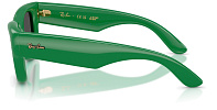 Ray-Ban RB 4940 683487
