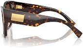 Dolce & Gabbana DG 4478 502/13