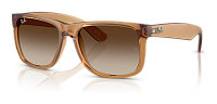 Ray-Ban RB 4165 681413