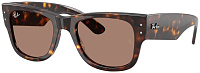 Ray-Ban RB 0840S 902/1A