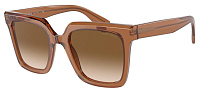 Giorgio Armani AR 8156 593251