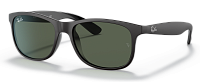 Ray-Ban RB 4202 606971