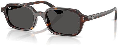 Ray-Ban RB 4455 135987