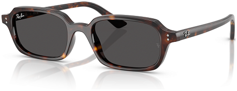 Ray-Ban RB 4455 135987