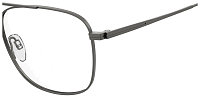Pierre Cardin P.C. 6913 SVK