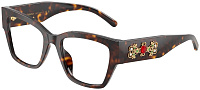 Dolce & Gabbana DG 3435B 502