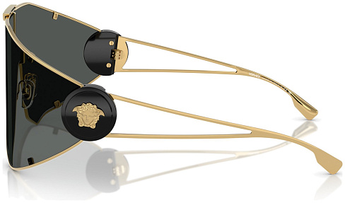 Versace VE 2268 100287