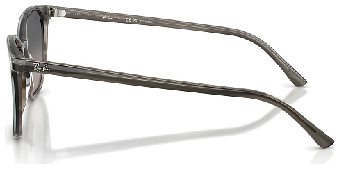Ray-Ban RB 2197 1438M3