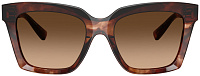 Dolce & Gabbana DG 4498 322274