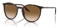 Ray-Ban RB 2204 902/51