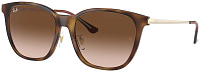Ray-Ban RB 4333D 710/13