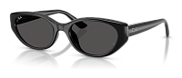 Ray-Ban RB 4457D 667787