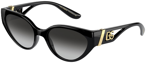 Dolce & Gabbana DG 6146 501/8G